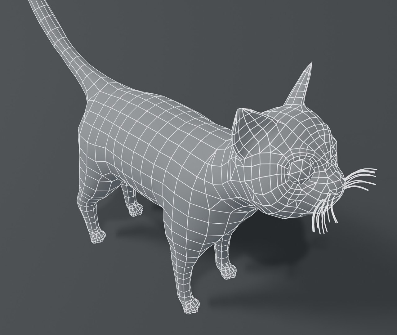 cartoon cat base mesh 3D model https://p.turbosquid.com/ts-thumb/YR/nTknGM/wa7fo4kA/9/jpg/1587050155/1920x1080/fit_q87/9d0e569c80c9d304c5e2501c3db150a07d7778b4/9.jpg