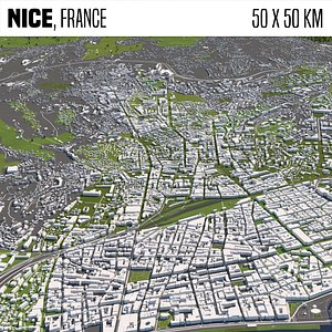 Nice France 50x50km City Map