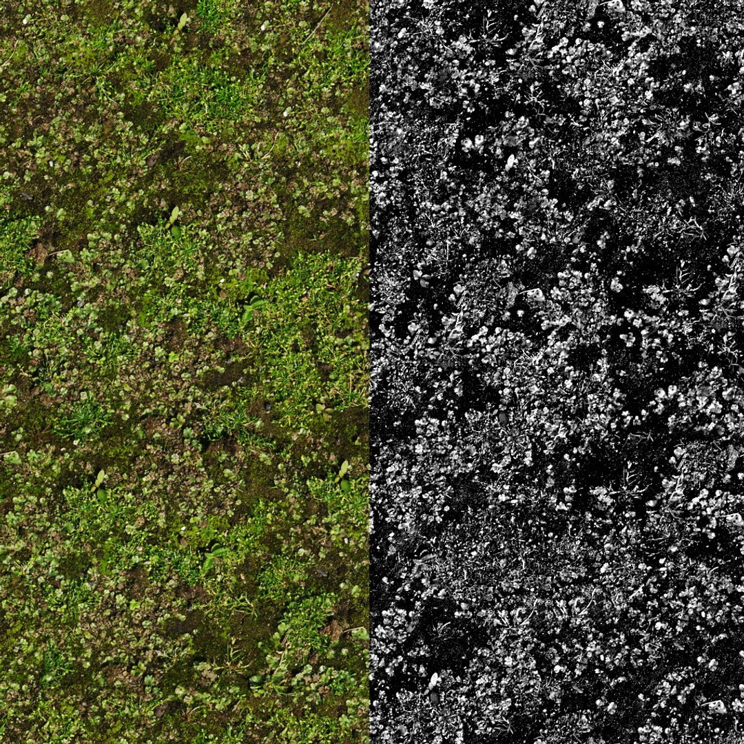 tree bundle model https://p.turbosquid.com/ts-thumb/YR/yw6UDd/1Z/00_ecleposs_ground/jpg/1780485310/1920x1080/fit_q87/7d146d93f64e24c7ed037f07e13d1304fe328718/00_ecleposs_ground.jpg