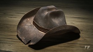 3d wild west cowboy hat