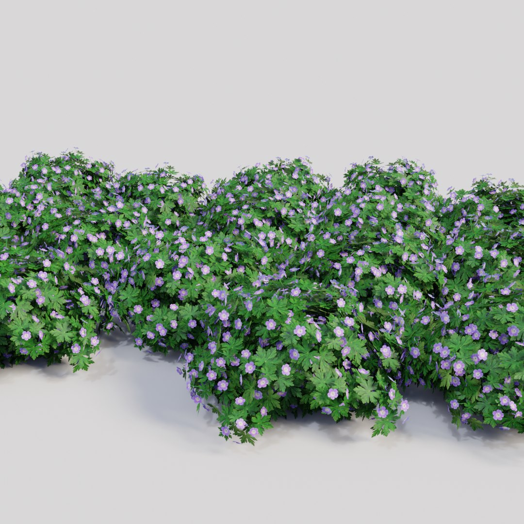 geranium gardens plants 3D model https://p.turbosquid.com/ts-thumb/YS/6tXhnv/Is35ox8c/pink0004/png/1577806700/1920x1080/fit_q87/ca485b89f61dce0e4afa6c4c3b8a2f1562f2d8e8/pink0004.jpg