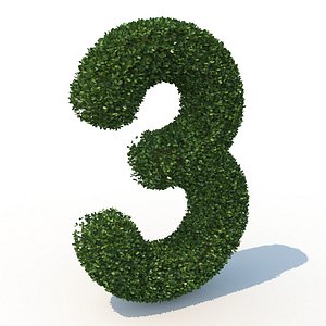 3D 3 hedge