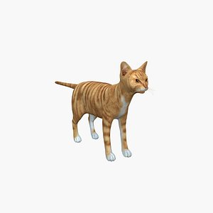 3D model Devon Rex Cat