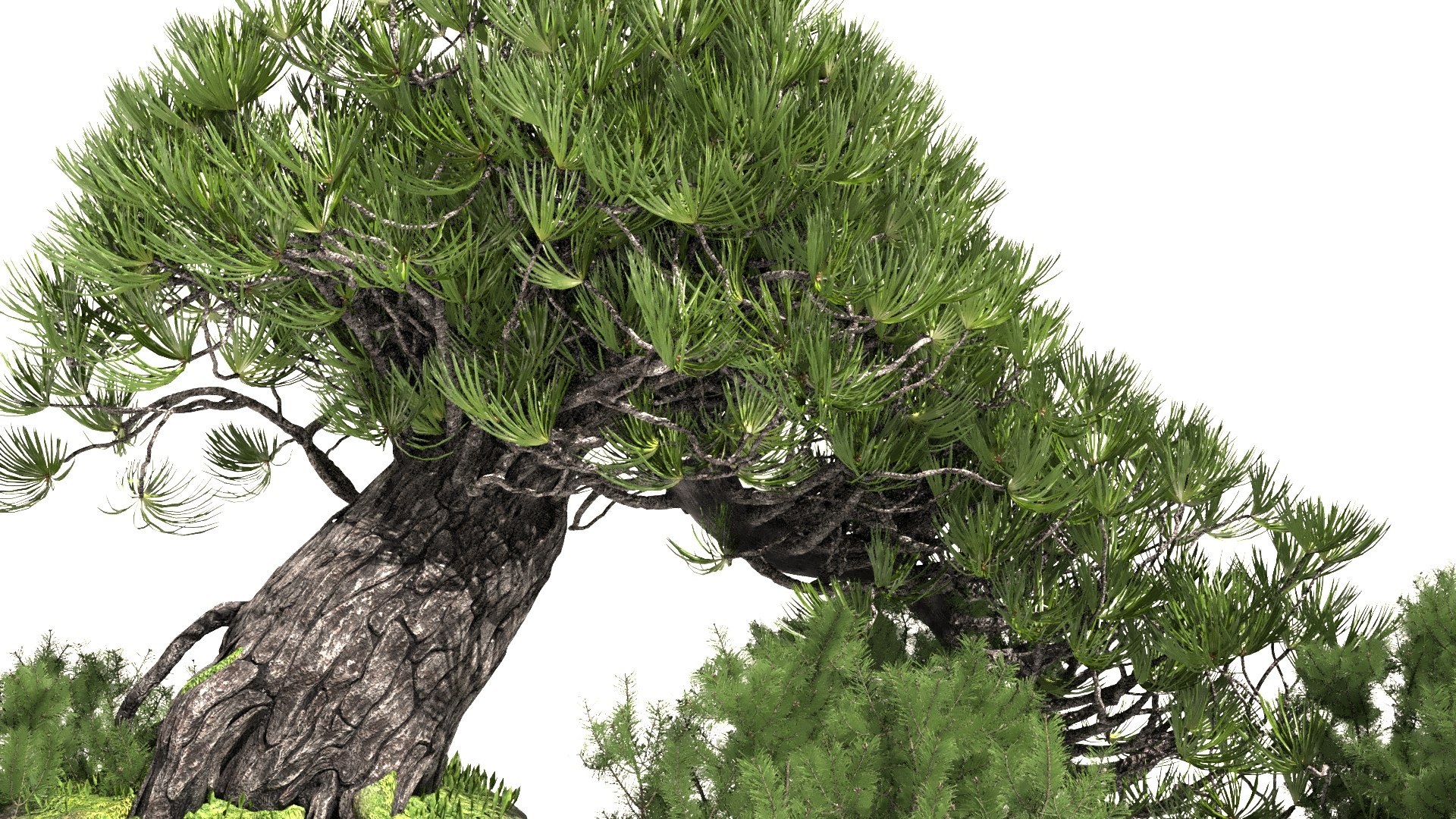 3D Japanese Tree - TurboSquid 2171488