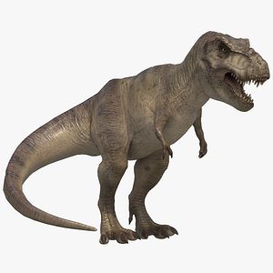 Tyrannosaurus Rex