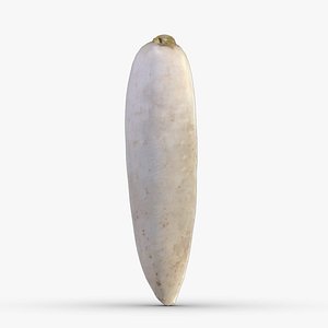 Radish Low Poly 3D