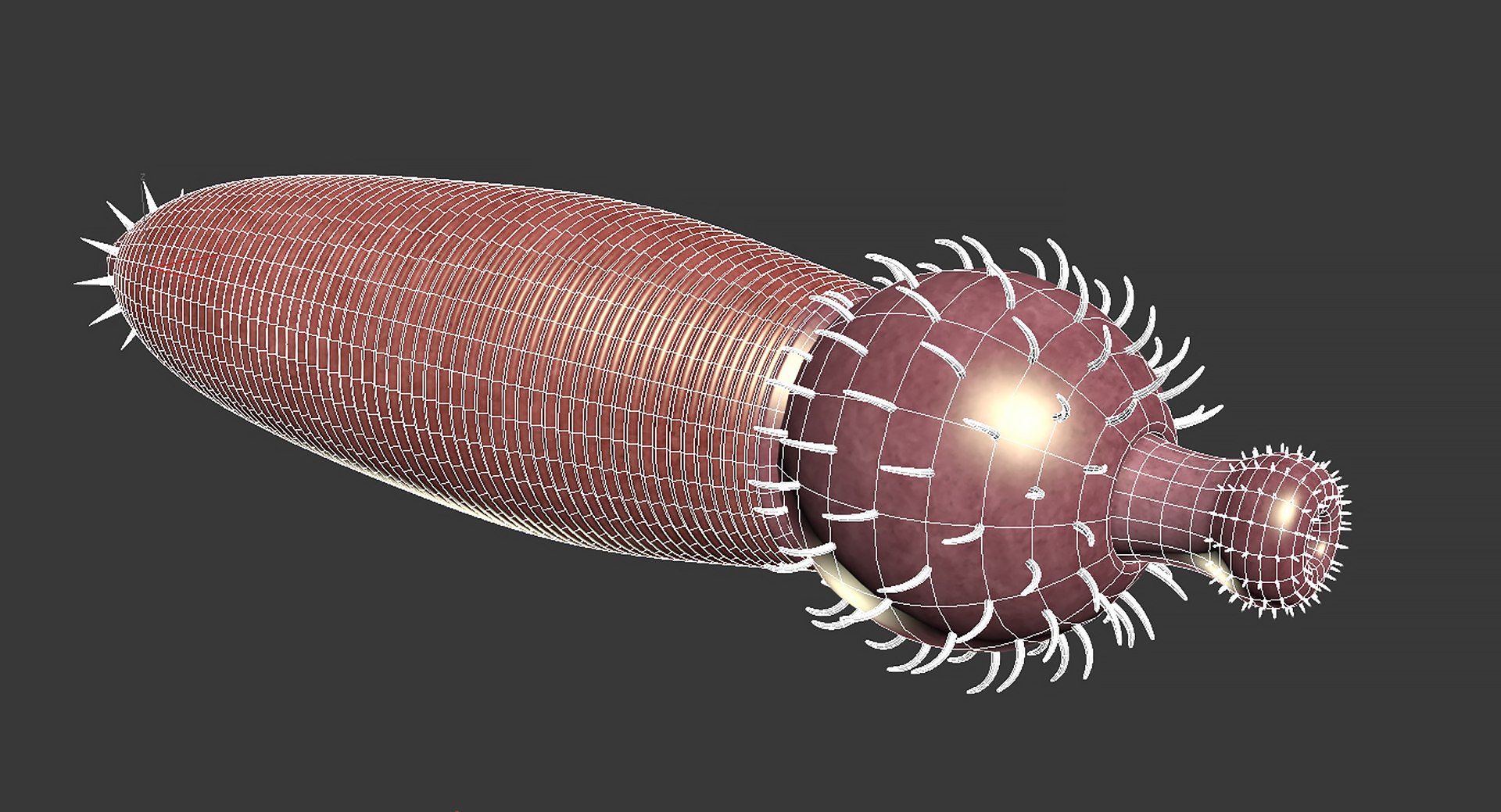 ottoia prolifica 3D model https://p.turbosquid.com/ts-thumb/YS/haROAy/wF/05/jpg/1739352666/1920x1080/fit_q87/eec648d0f36155d7d5e3946f3aabff9f905c95b9/05.jpg