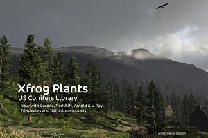 2020 XfrogPlants USA Conifers Library