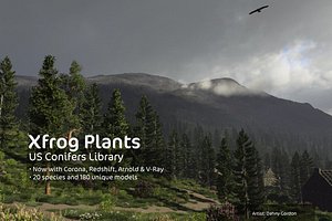 2020 XfrogPlants USA Conifers Library