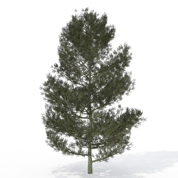 modelo 3d XfrogPlants USA Conifers Library - TurboSquid 303676