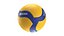 Mikasa V200W ball