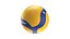 Mikasa V200W ball