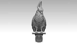 parrot 3D model