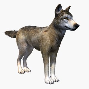 3d model canine dog
