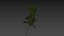 nettle