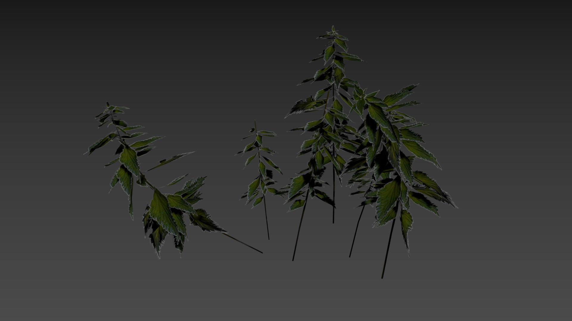 3D nettle https://p.turbosquid.com/ts-thumb/YT/U2jvS3/dk/zrzutekranu220kopia/jpg/1690549010/1920x1080/fit_q87/33de53de264f1945bd59e70964031e9ef257ec6e/zrzutekranu220kopia.jpg