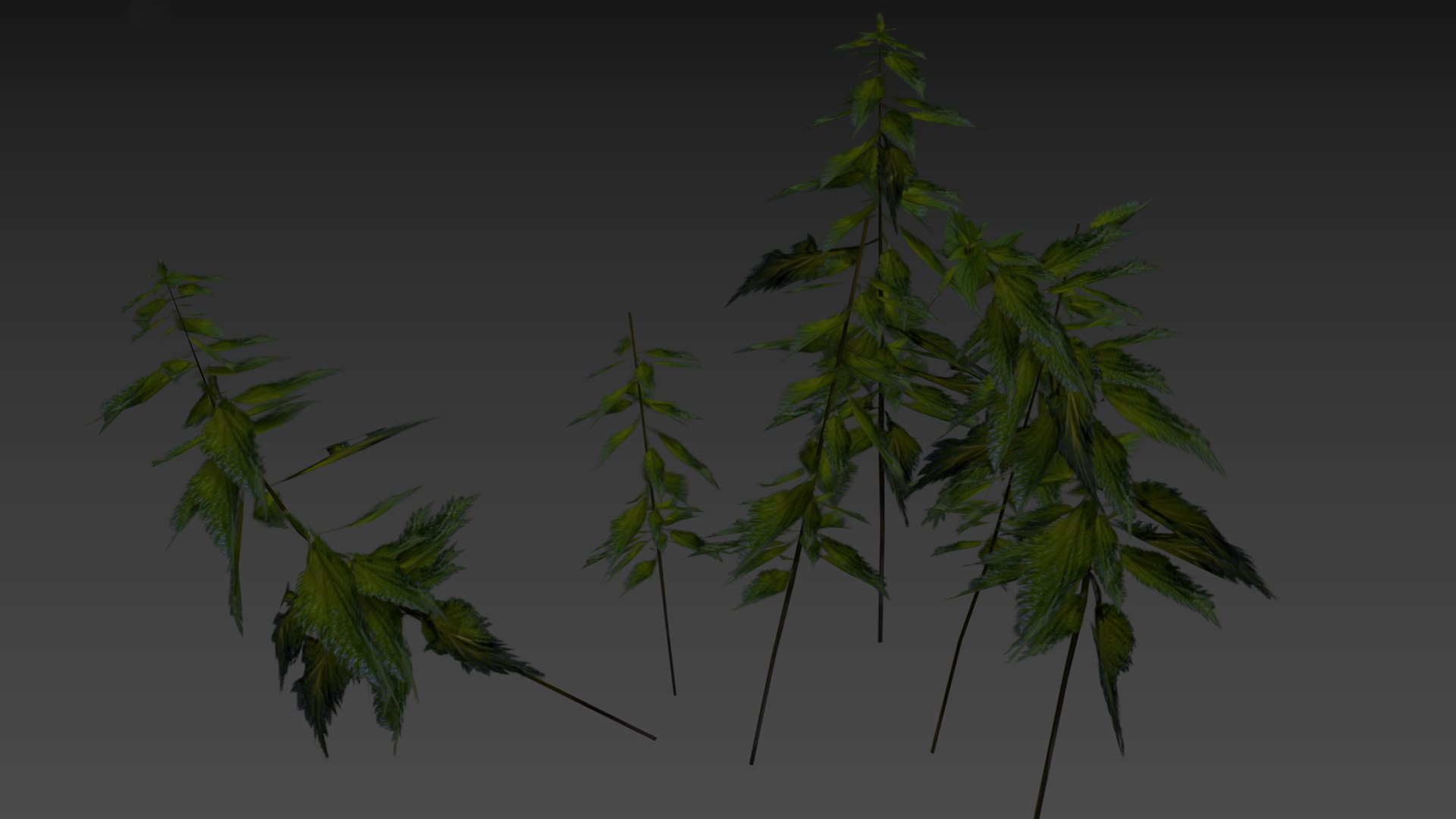3D nettle https://p.turbosquid.com/ts-thumb/YT/U2jvS3/jc/zrzutekranu221kopia/jpg/1690549010/1920x1080/fit_q87/bece0ad144163ffe9b25c71f25151bd8fe3a100b/zrzutekranu221kopia.jpg