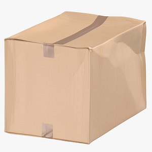 3D Cardboard Box 03 Damaged