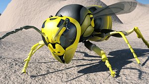 Wasp (High quality)