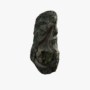 3D Anydrafts Salix matsudana Burl 09 model
