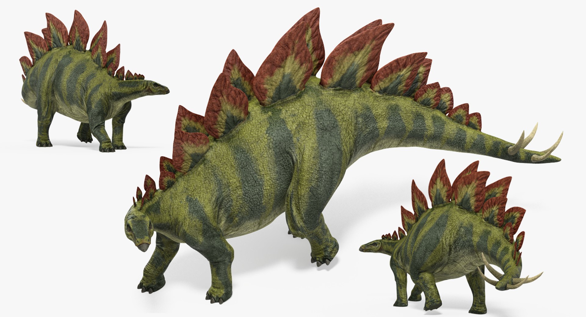 stegosaurus rigged 3d model