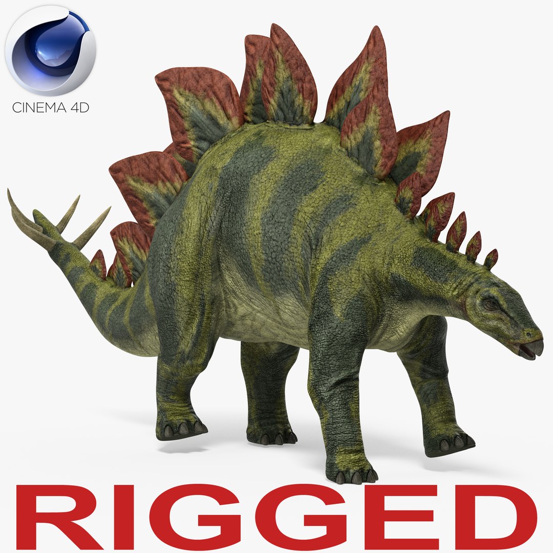 Stegosaurus Rigged for Cinema 4D 3D model preview