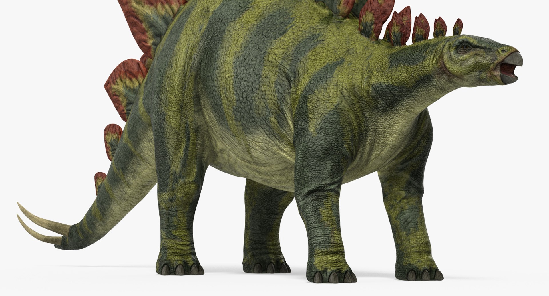 stegosaurus rigged 3d model