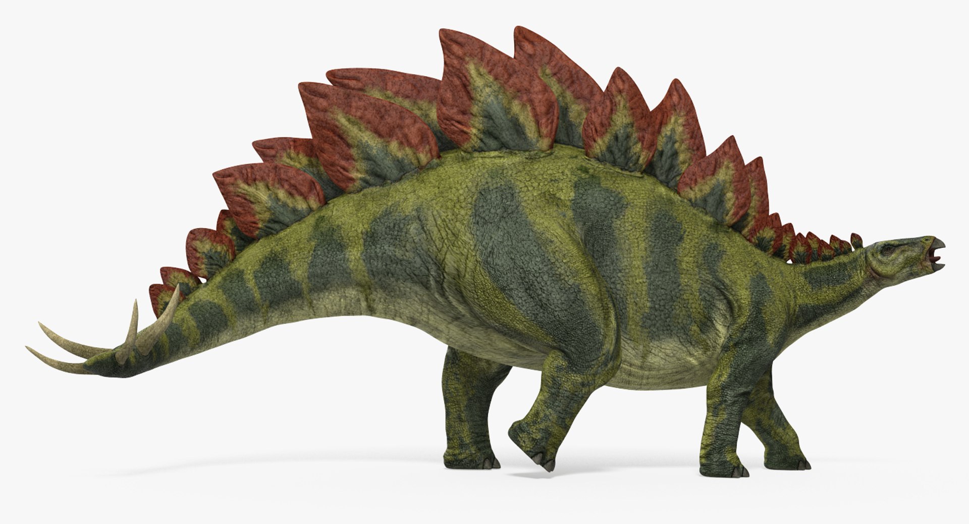 stegosaurus rigged 3d model