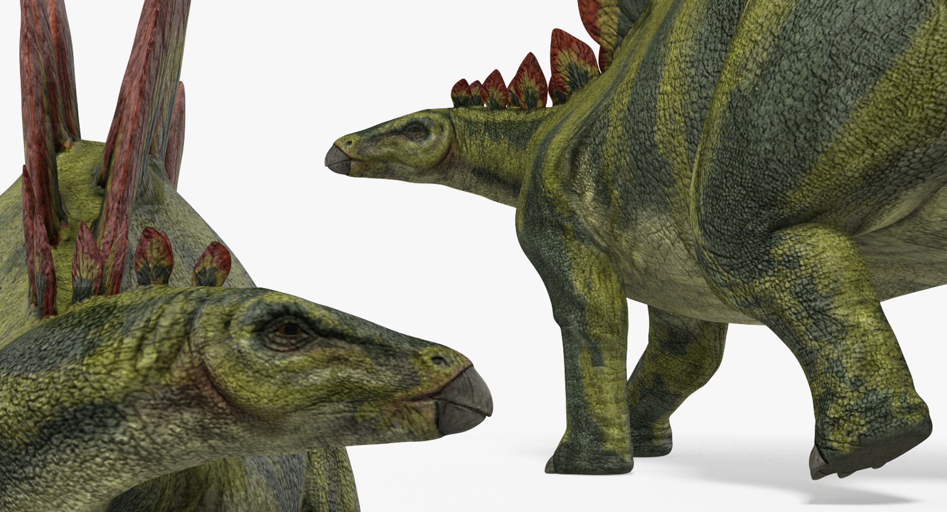 stegosaurus rigged 3d model