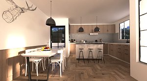 designed kitchen room model