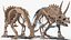 Fossile di scheletro di triceratopo con pelle trasparente truccata