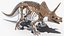 Fossile di scheletro di triceratopo con pelle trasparente truccata