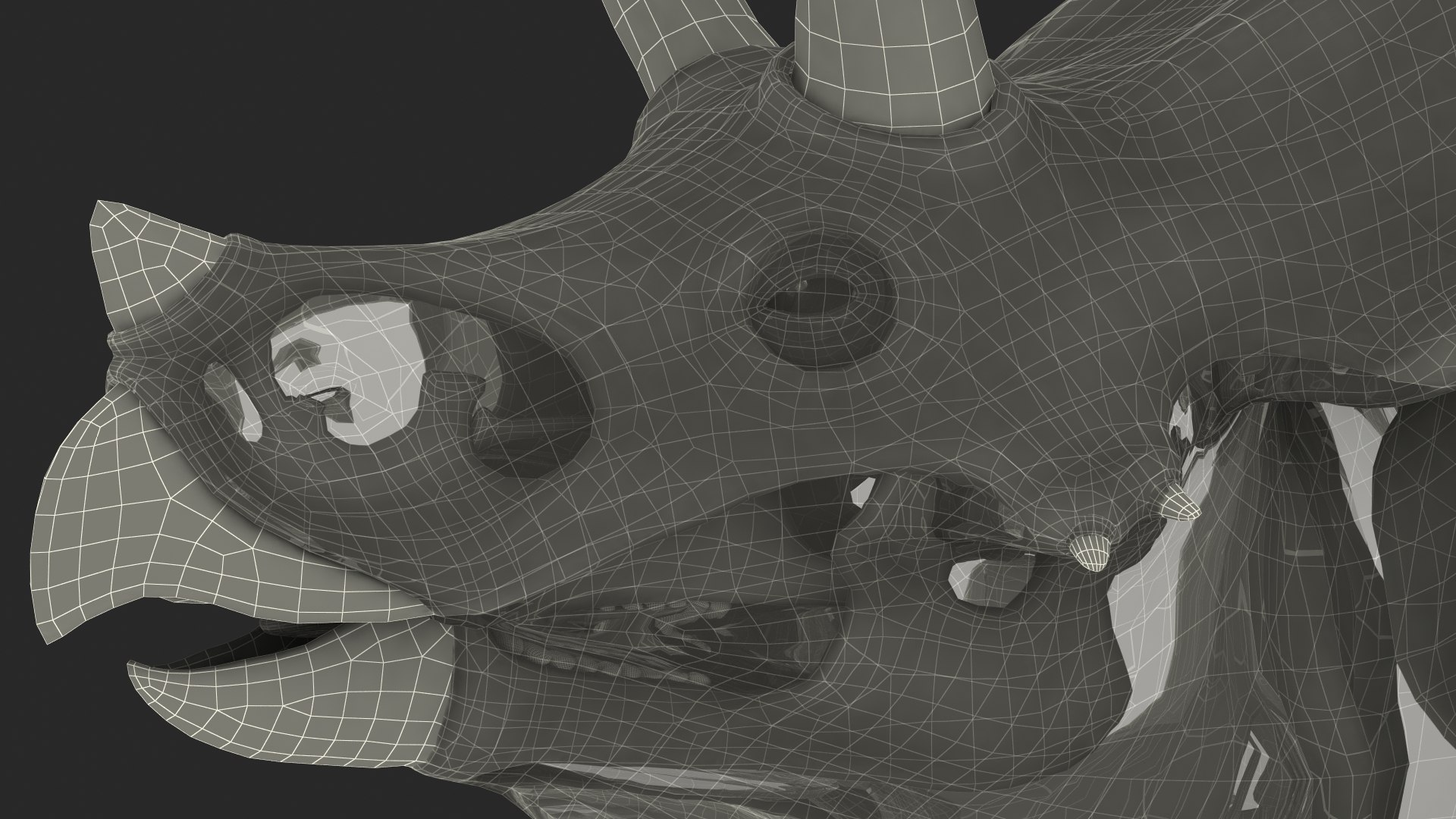 3D model triceratops skeleton fossil transparent https://p.turbosquid.com/ts-thumb/YT/ktGFez/YeiCvqWf/triceratopsskeletonfossilwithtransparentskinrigged3dmodel035/jpg/1583416195/1920x1080/fit_q87/1a8de4eedcef0e5e7c80972d18448f95de3e0d70/triceratopsskeletonfossilwithtransparentskinrigged3dmodel035.jpg
