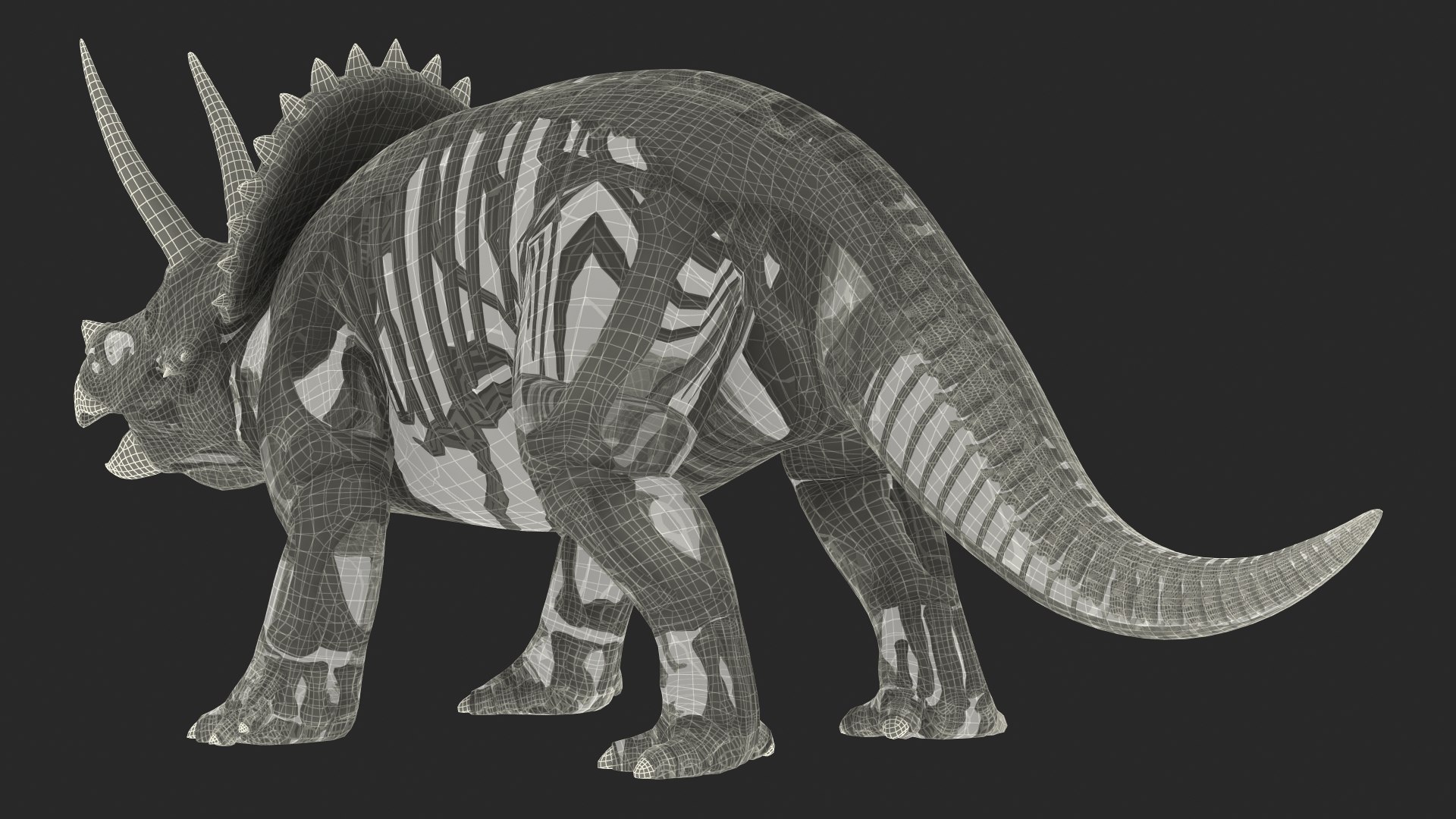 3D model triceratops skeleton fossil transparent https://p.turbosquid.com/ts-thumb/YT/ktGFez/cTHJQ2vS/triceratopsskeletonfossilwithtransparentskinrigged3dmodel030/jpg/1583416178/1920x1080/fit_q87/2c6020c9c0a4b592245c11bad484746d6573bee8/triceratopsskeletonfossilwithtransparentskinrigged3dmodel030.jpg