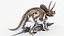 Fossile di scheletro di triceratopo con pelle trasparente truccata