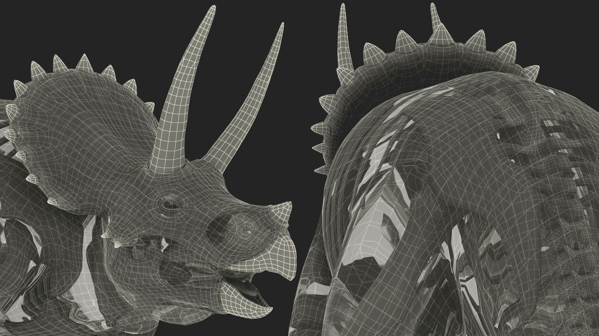 3D model triceratops skeleton fossil transparent https://p.turbosquid.com/ts-thumb/YT/ktGFez/y8oMcGAZ/triceratopsskeletonfossilwithtransparentskinrigged3dmodel033/jpg/1583416189/1920x1080/fit_q87/90c7327a7ed3579f39512d55585f678b1001f57c/triceratopsskeletonfossilwithtransparentskinrigged3dmodel033.jpg