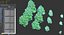 birch