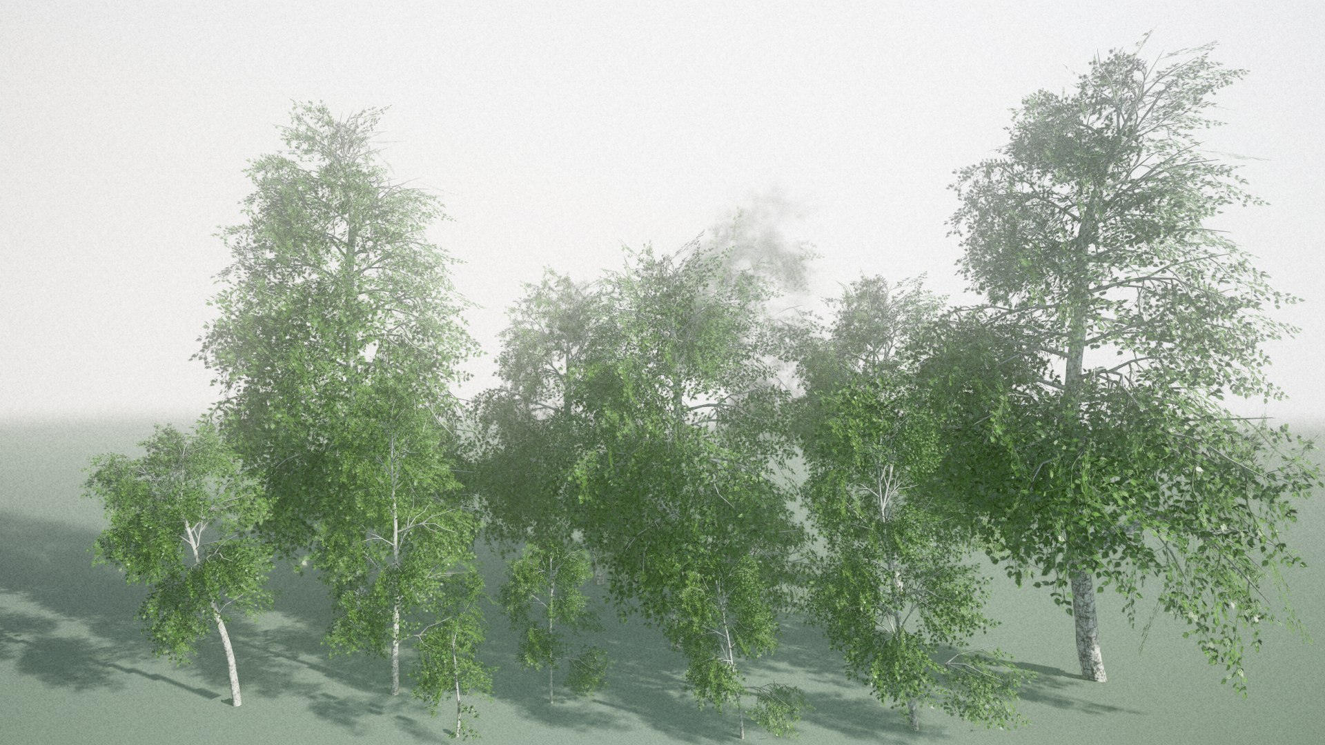 birch tree 3D https://p.turbosquid.com/ts-thumb/YT/lBYt0B/Civ53RbR/screenshot004/png/1535447743/1920x1080/fit_q87/3654ff3d698688d894e147869ac0ab0632c4337e/screenshot004.jpg