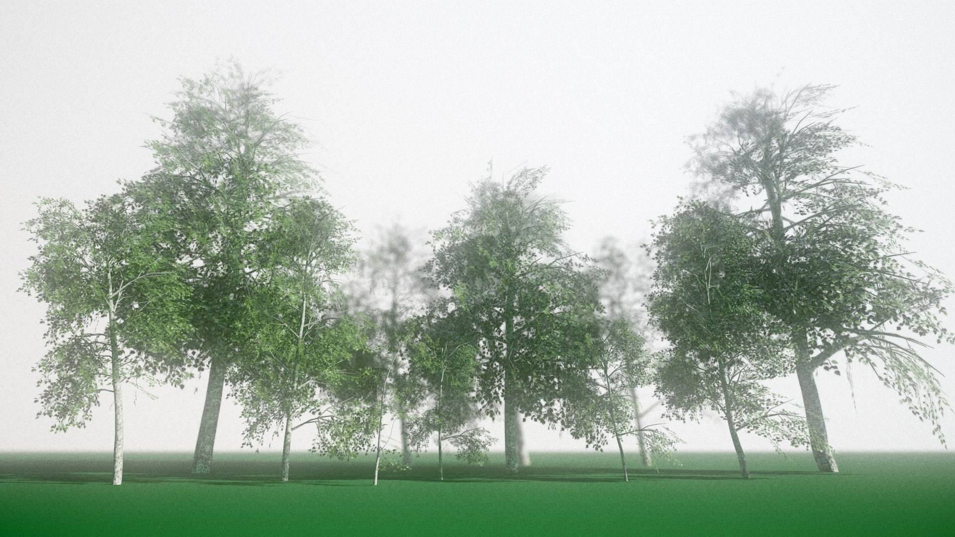 birch tree 3D https://p.turbosquid.com/ts-thumb/YT/lBYt0B/EMGtogsf/screenshot003/png/1535447726/1920x1080/fit_q87/44d0b7fb86a471240e73103f10d7c3b6da677c26/screenshot003.jpg