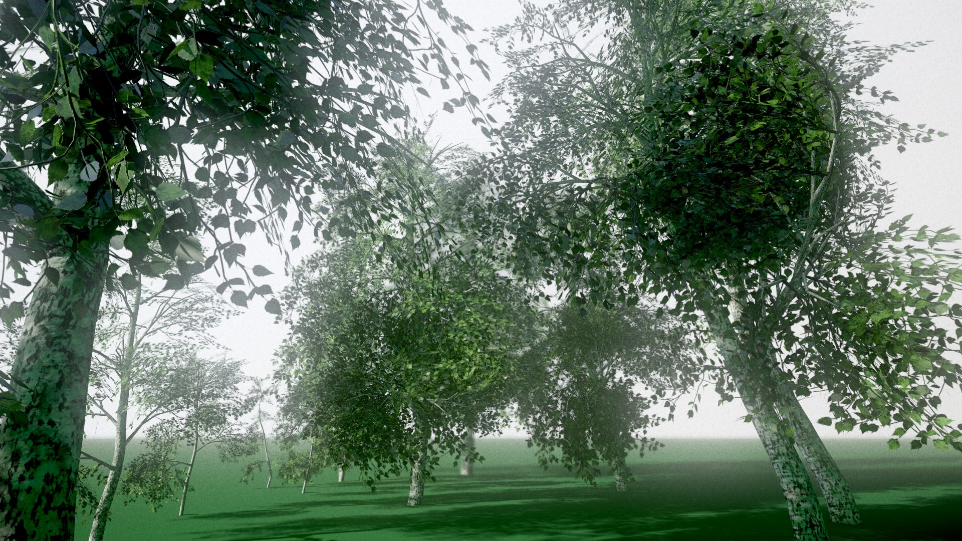 birch tree 3D https://p.turbosquid.com/ts-thumb/YT/lBYt0B/QYjNJD0y/screenshot002/png/1535447713/1920x1080/fit_q87/6a9bc7b0266c3406e8f6d86351c68d721eed4530/screenshot002.jpg