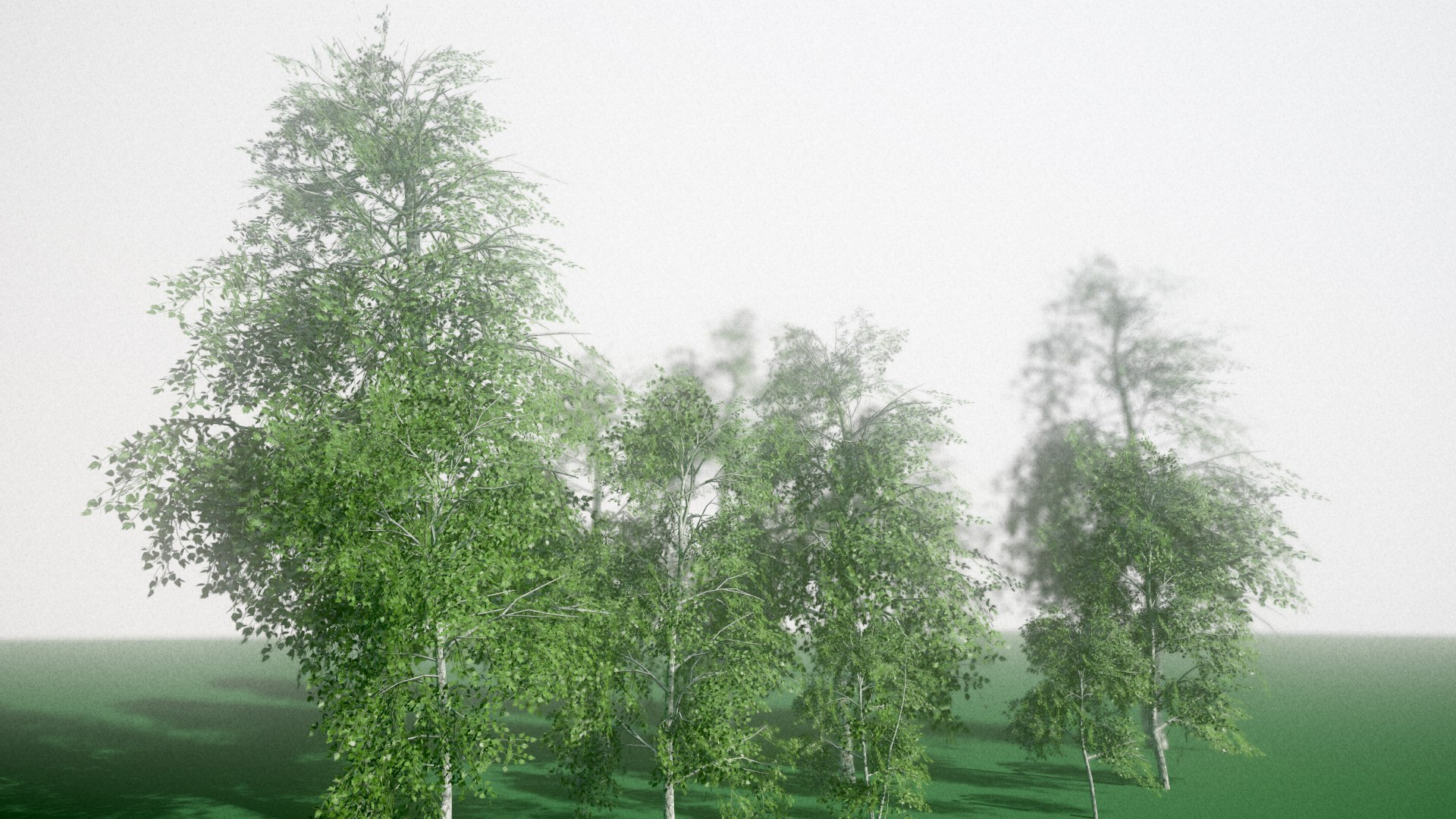 birch tree 3D https://p.turbosquid.com/ts-thumb/YT/lBYt0B/Ww0aiFOp/screenshot000/png/1535447678/1920x1080/fit_q87/f64168bcf91b741ccb9c8ab1a5b1b1a8c49adebf/screenshot000.jpg