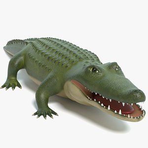 3D cartoon alligator model