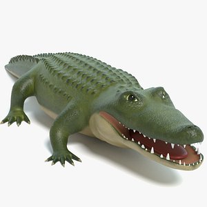 Cartoon Alligator