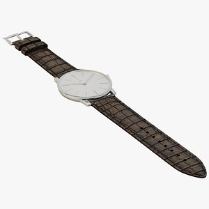 Luxury Watch Silver Brown