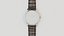 Luxury Watch Silver Brown