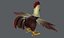 Chicken cartoon baseV02