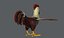Chicken cartoon baseV02