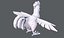 Chicken cartoon baseV02