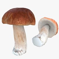 High/Low Poly Model Boletus Edulis Mushroom