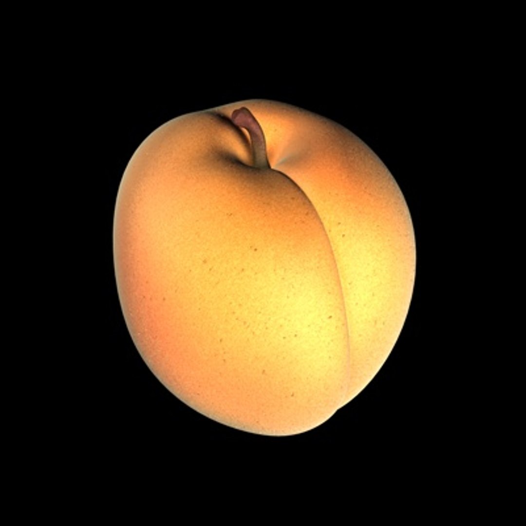 apricot 3d c4d https://p.turbosquid.com/ts-thumb/YU/5BfpIa/YIck02ir/albicocca01/jpg/1197816510/1920x1080/fit_q87/793e06cc62bde62aacbd8ea498addacd8a2c356a/albicocca01.jpg